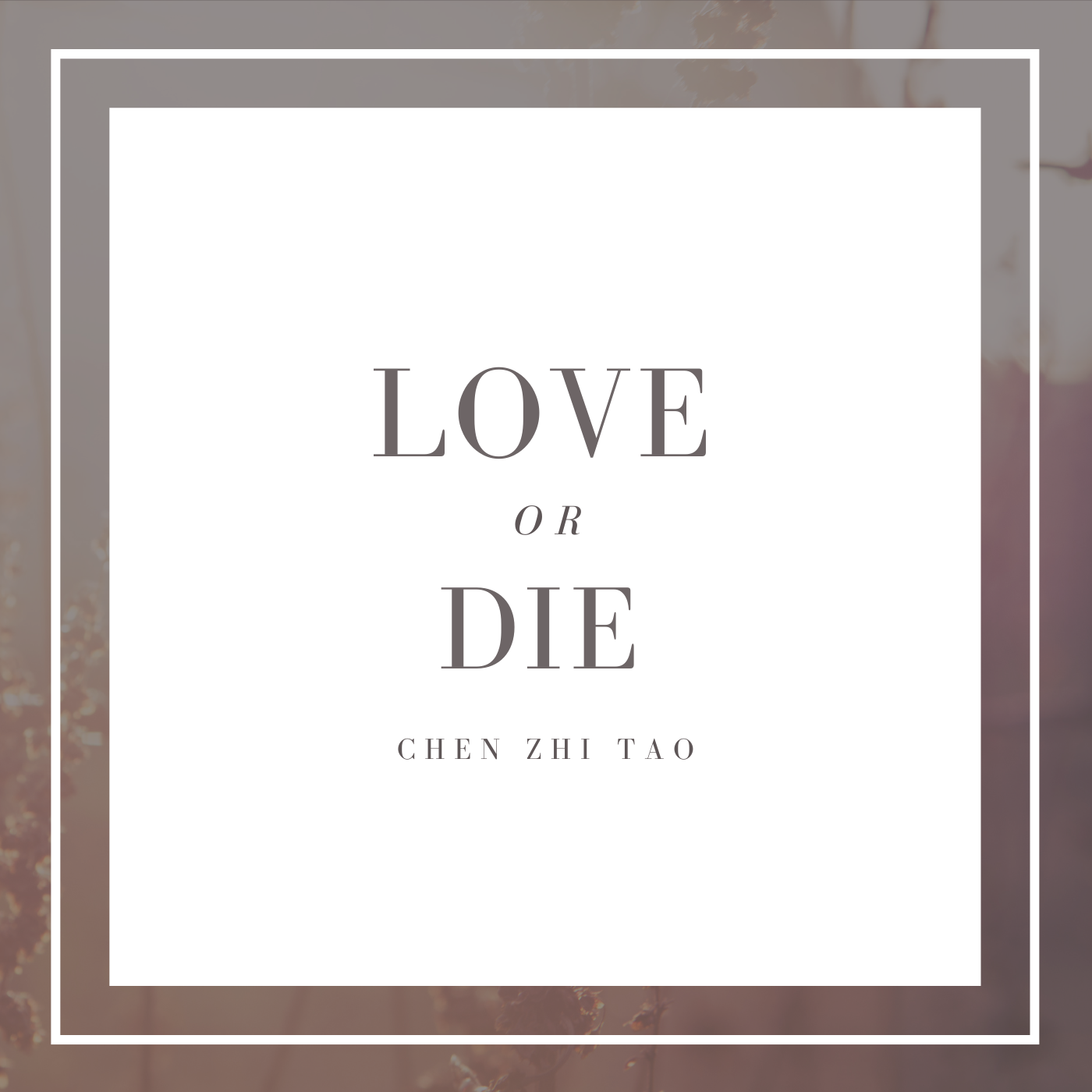 Love or Die_CZT_Love or Die | 在线播放_Love or Die歌词_Love or Die下载 | 网易云音乐