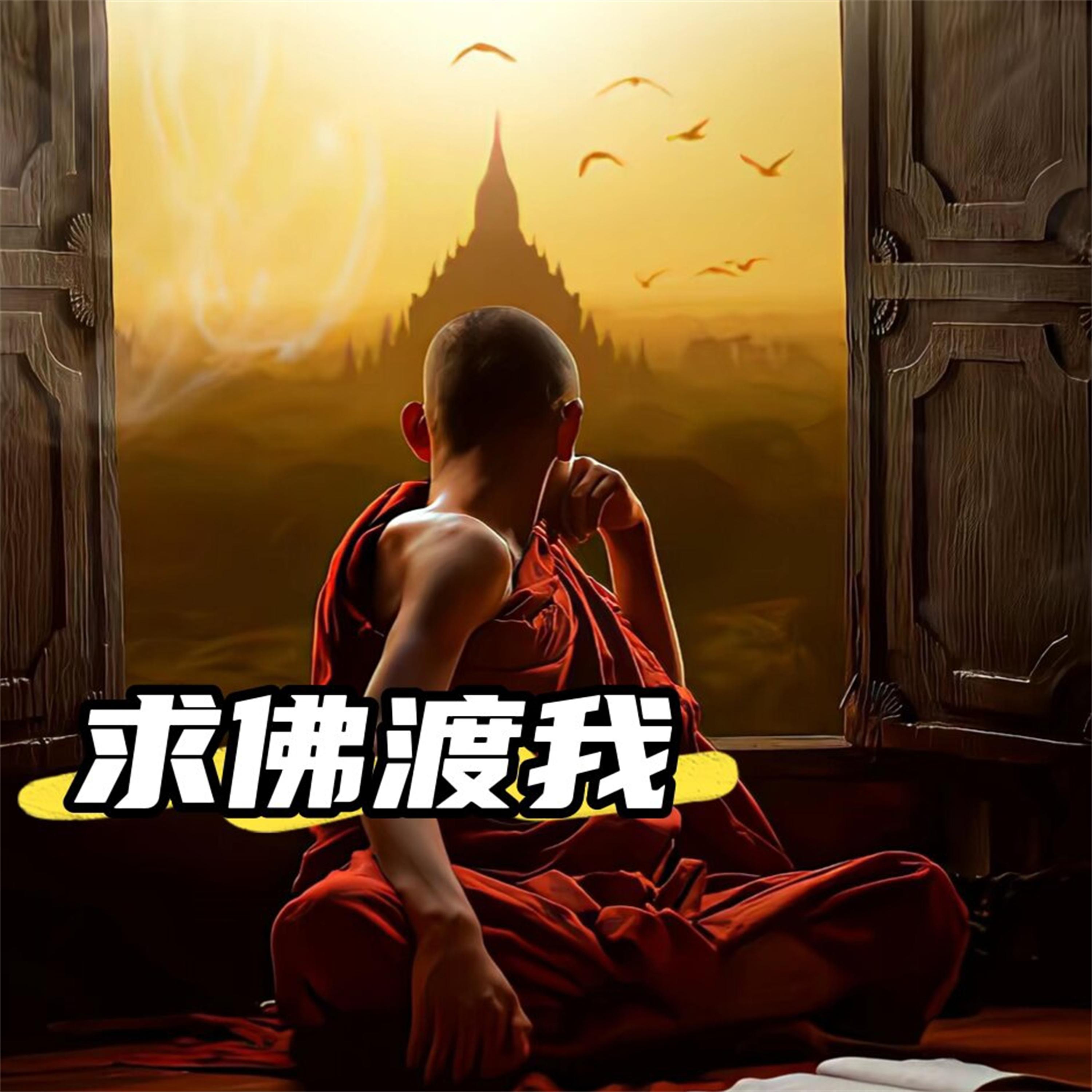 求佛渡我封面