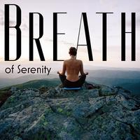 Breath of Serenity: Anxiety Mindfulness Meditation Music