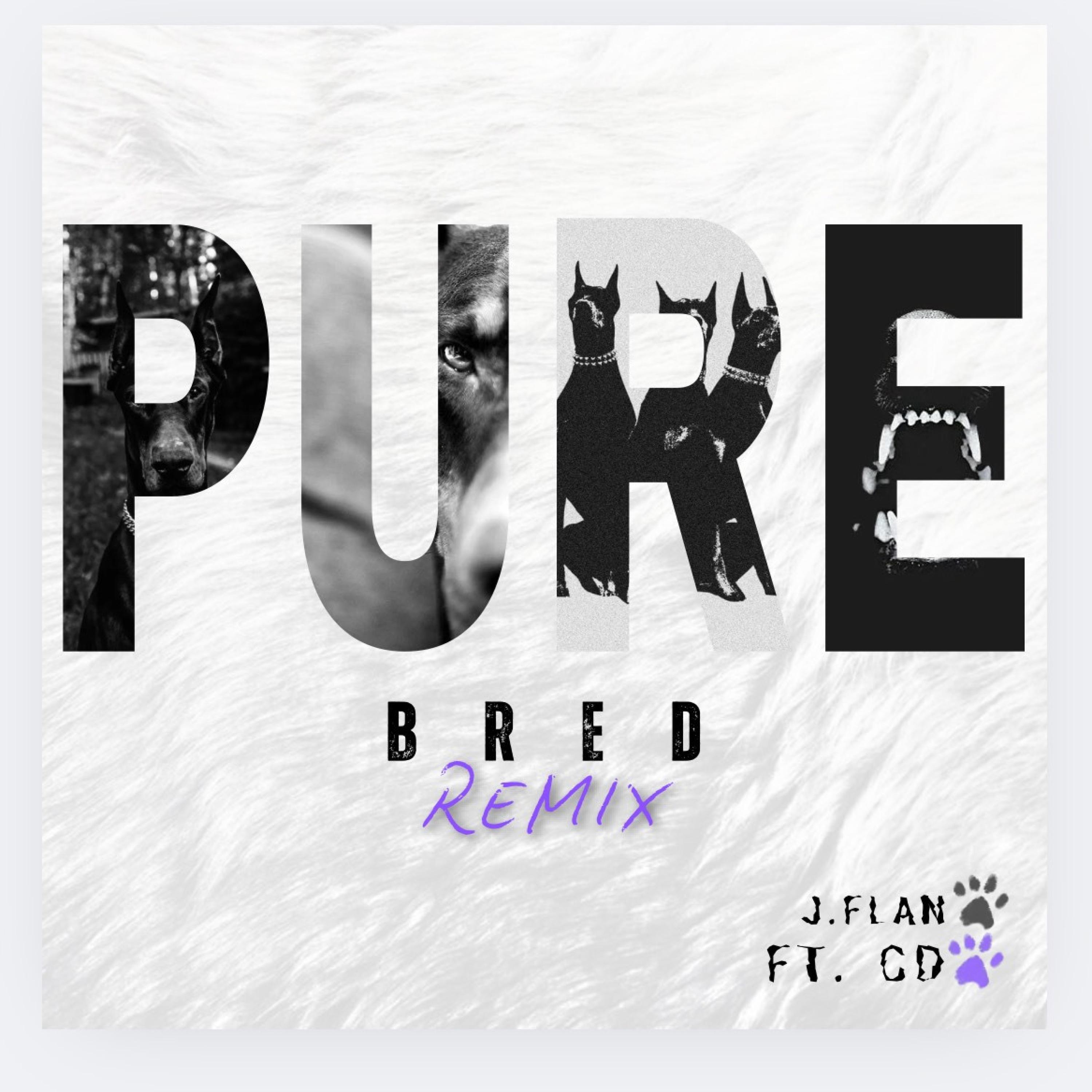 PURE BRED (feat. CD) (Radio Edit)