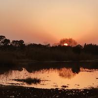 Fredrik Wizzle Acle Louis