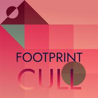 Footprint Cull