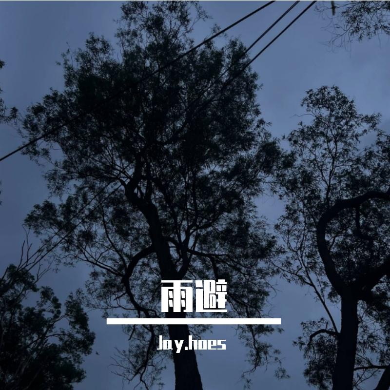 避不开的雨封面