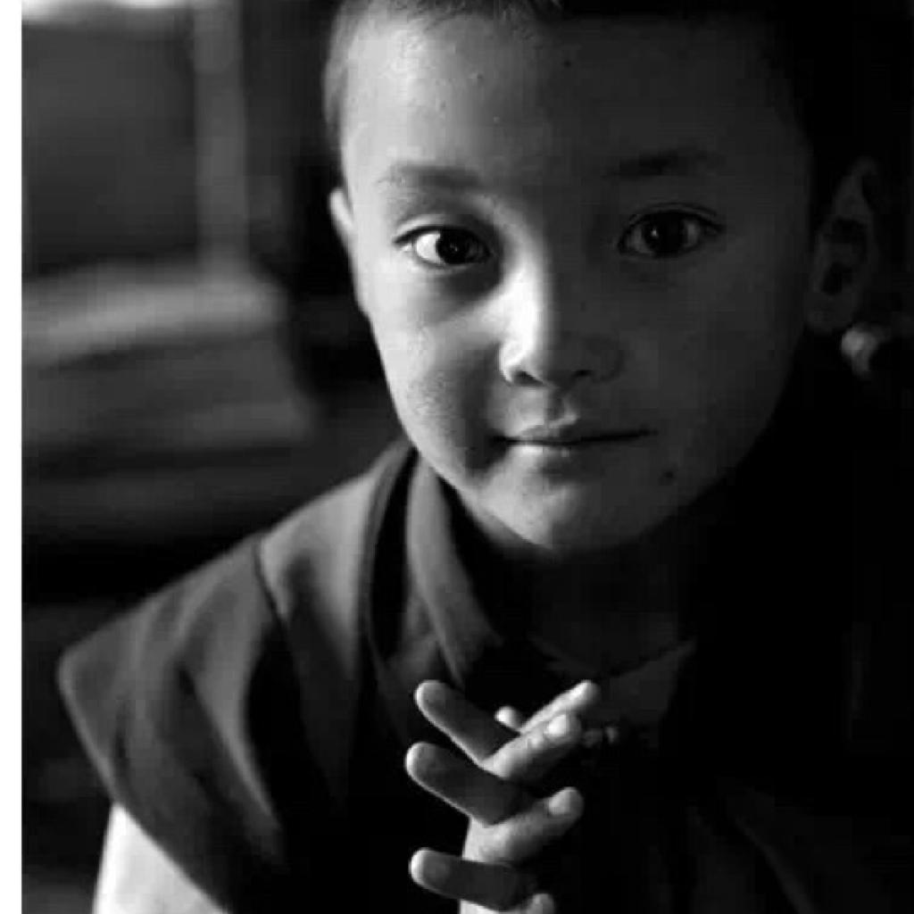 一只灰头土脸的鹅