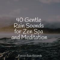 40 Gentle Rain Sounds for Zen Spa and Meditation