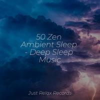 50 Zen Ambient Sleep - Deep Sleep Music