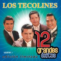 12 Grandes exitos Vol. 1