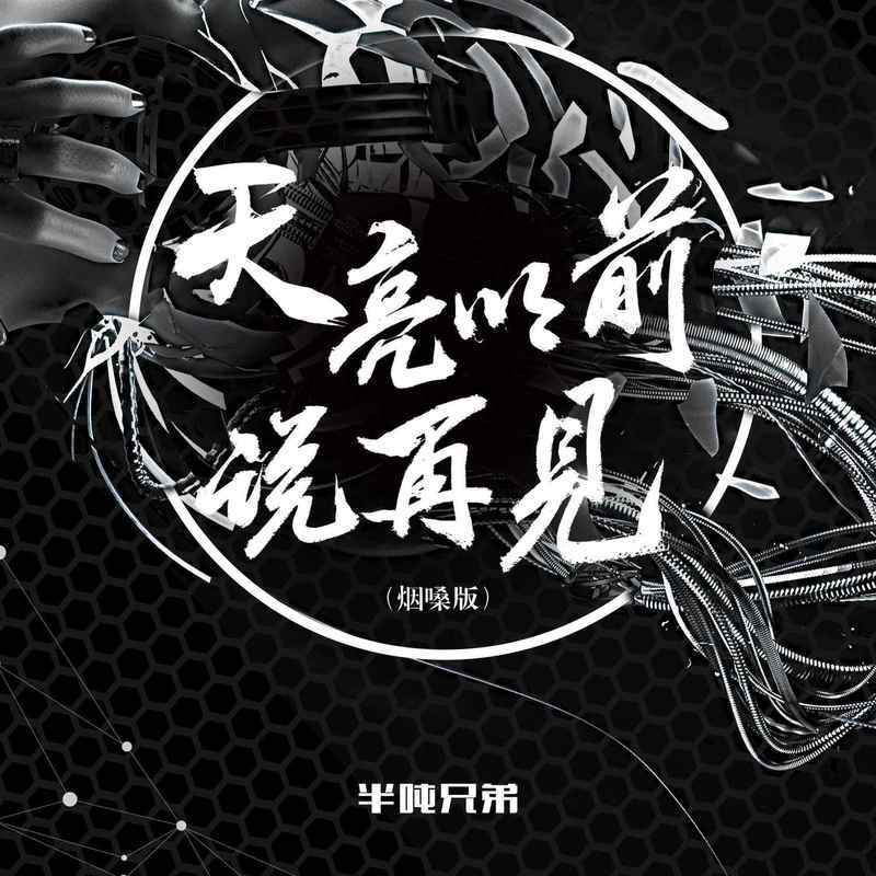 天亮以前说再见 (烟嗓版) - 半吨兄弟封面