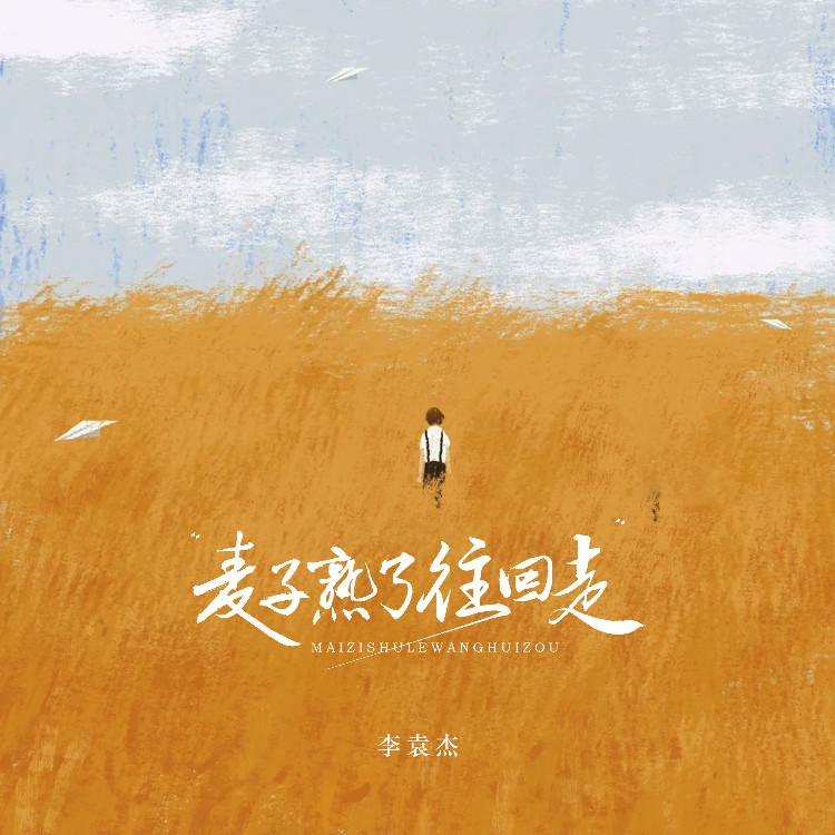 李袁杰 ·《麦子熟了往回走》