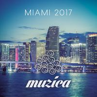 Muzica - Miami 2017