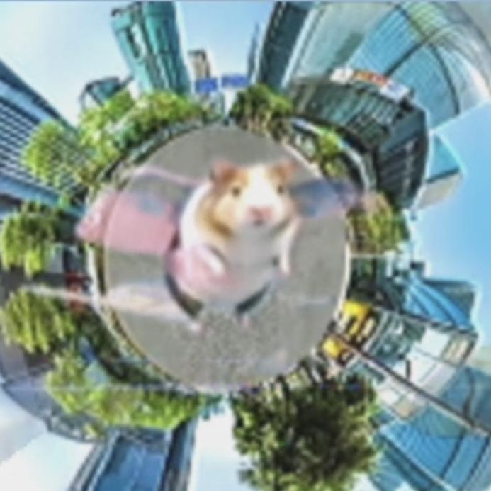 审美积累，哈基米南北绿豆