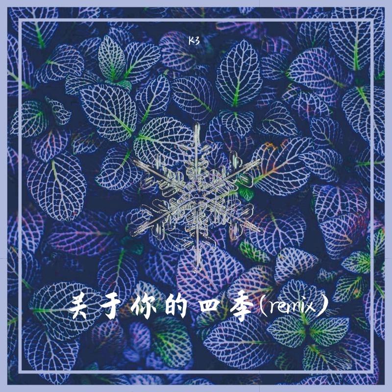 关于你的四季(remix)