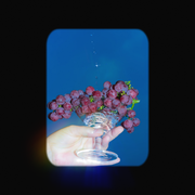 波本酒
