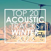 Top 20 Acoustic Tracks Winter 2023 (Instrumental)