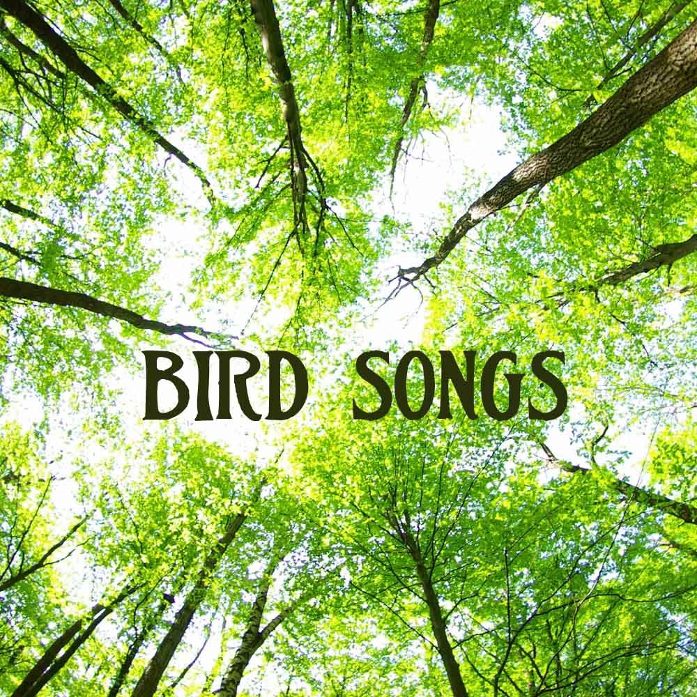 Bird Songs