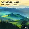 Beau Collins - Wonderland