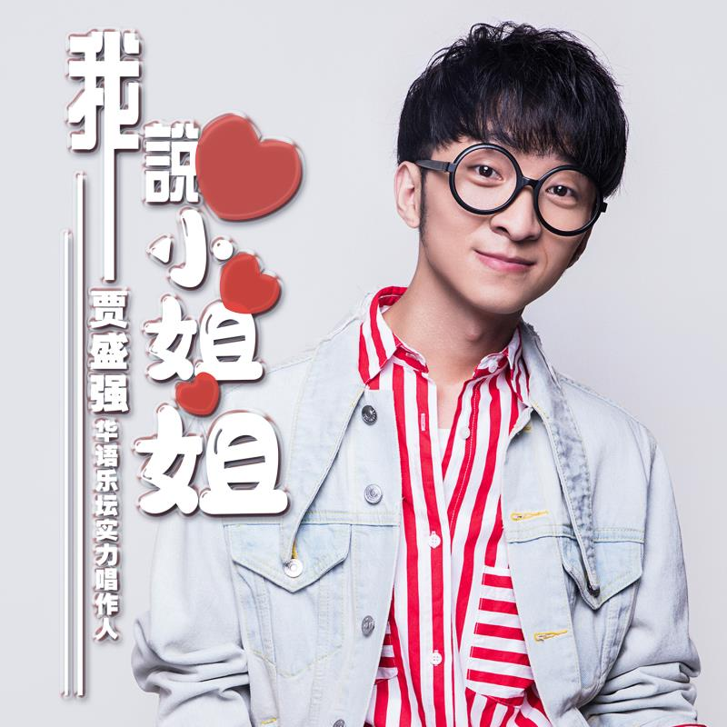 我说小姐姐封面