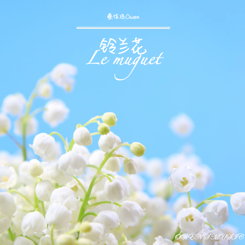 铃兰花封面