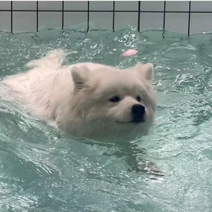 泽