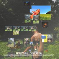 BEAUTIFUL DISASTER