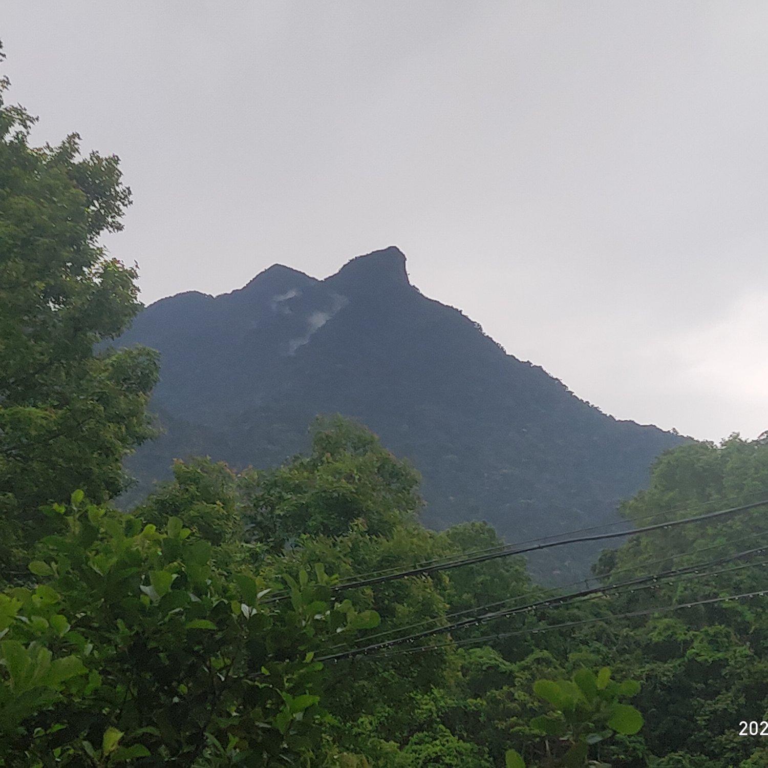 像风一样自由_Pn0F