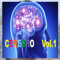 Cerebro, Vol. 1