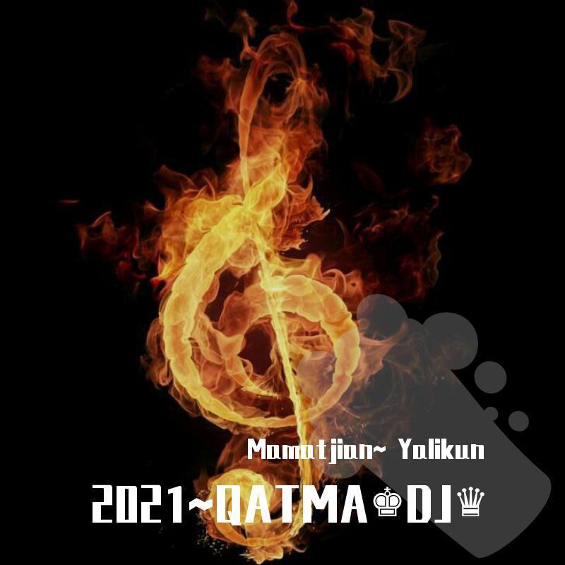 西游记 (DJ Remix)（翻自 tusunbigim）封面