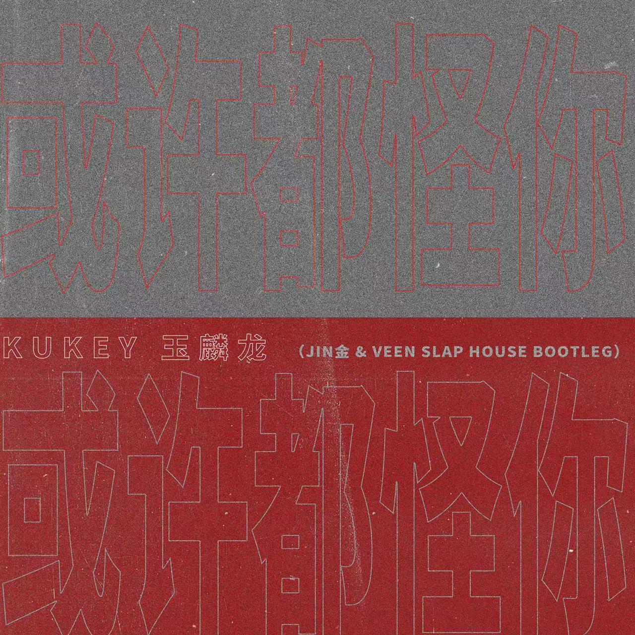 Kukey-王麒龙-或许都怪你 (Jin金 & VEEN Slap House Bootleg)封面