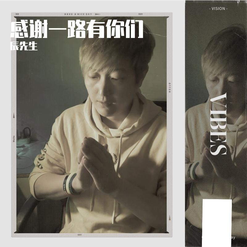 心头草 - 辰先生封面