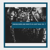Singing Birds and Insects in Light Rain, Vol. 7