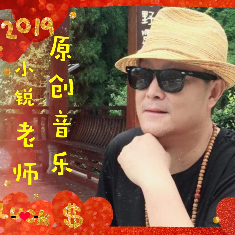 林黛玉没有眼泪 - 小锐二胡封面