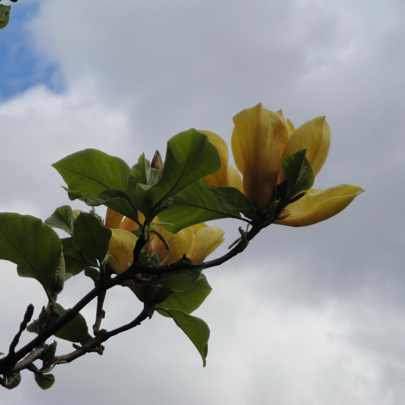 Este Amor Es Diferente