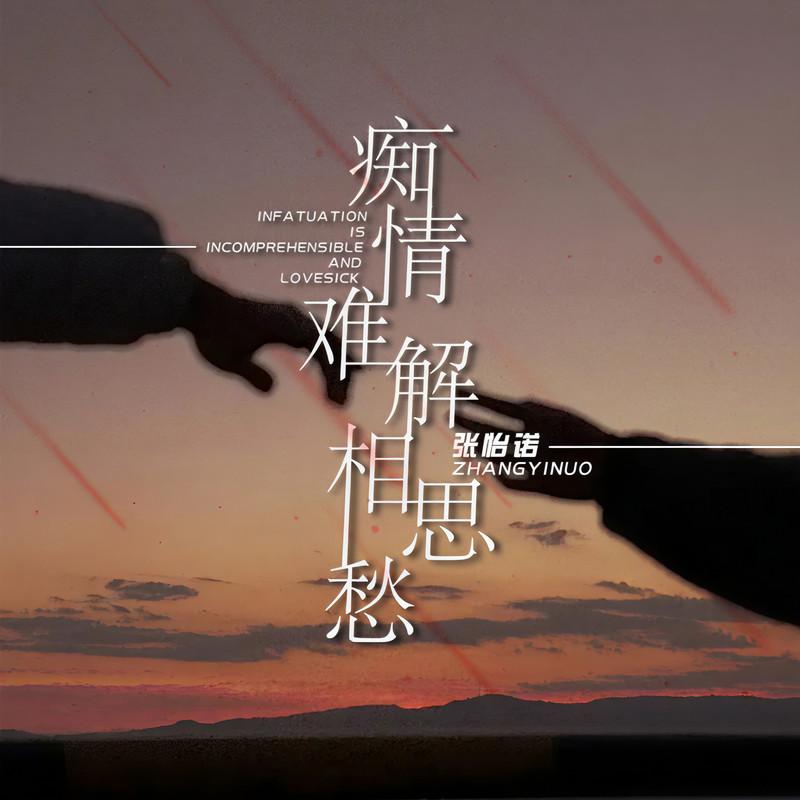 痴情难解相思愁 (DJ默涵版伴奏) - 张怡诺封面