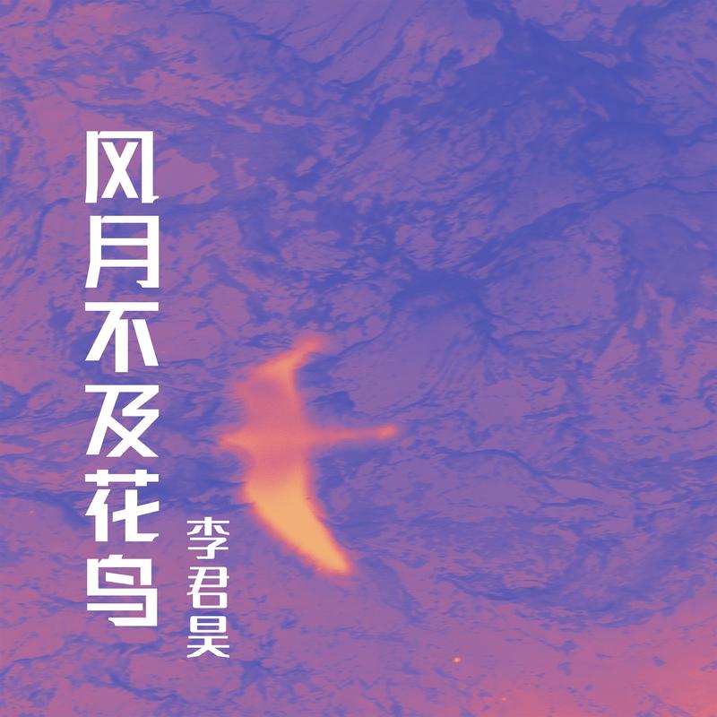 笑眼深邃封面