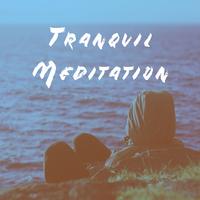 Zarobi - Meditation: Good Night Mantra