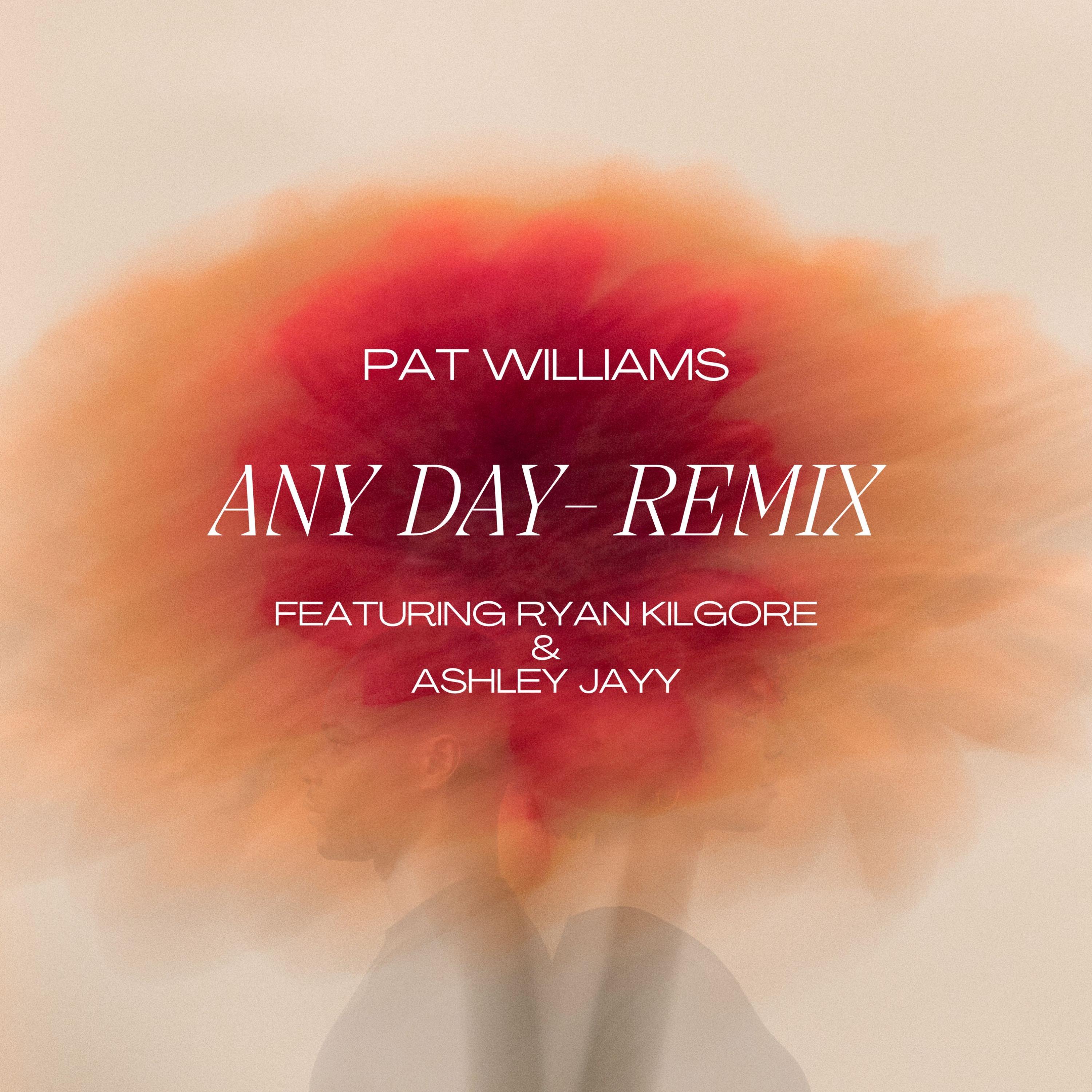 Any Day (feat. Ryan Kilgore & Ashley Jayy) (Remix)