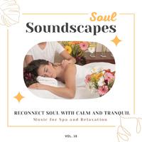 Soul Soundscapes, V18 - Reconnect Soul With Calm And Tranquil Music For Spa And Relaxation