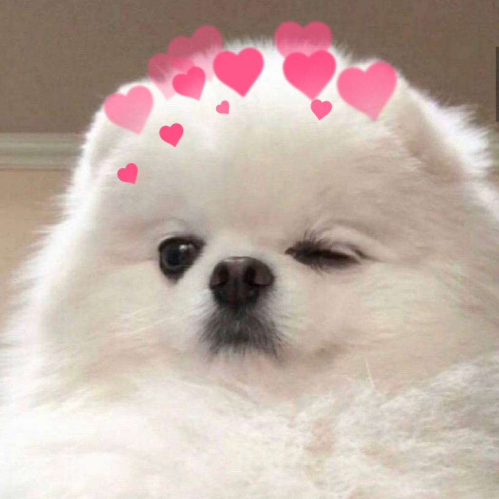 那些听了让人心情好的歌～