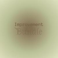 Improvement Bundle