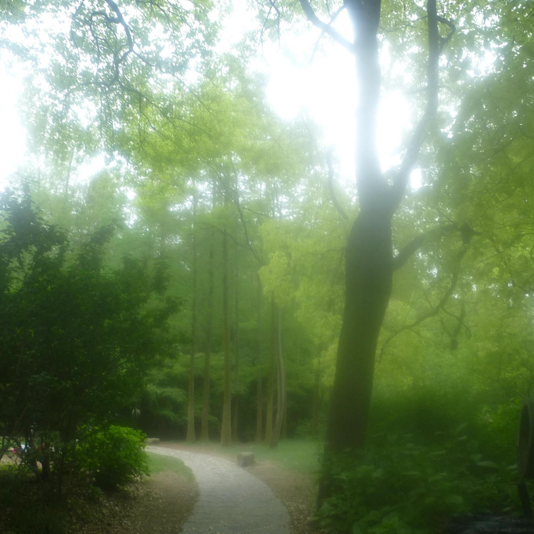 Pure｜纯音乐｜疗愈