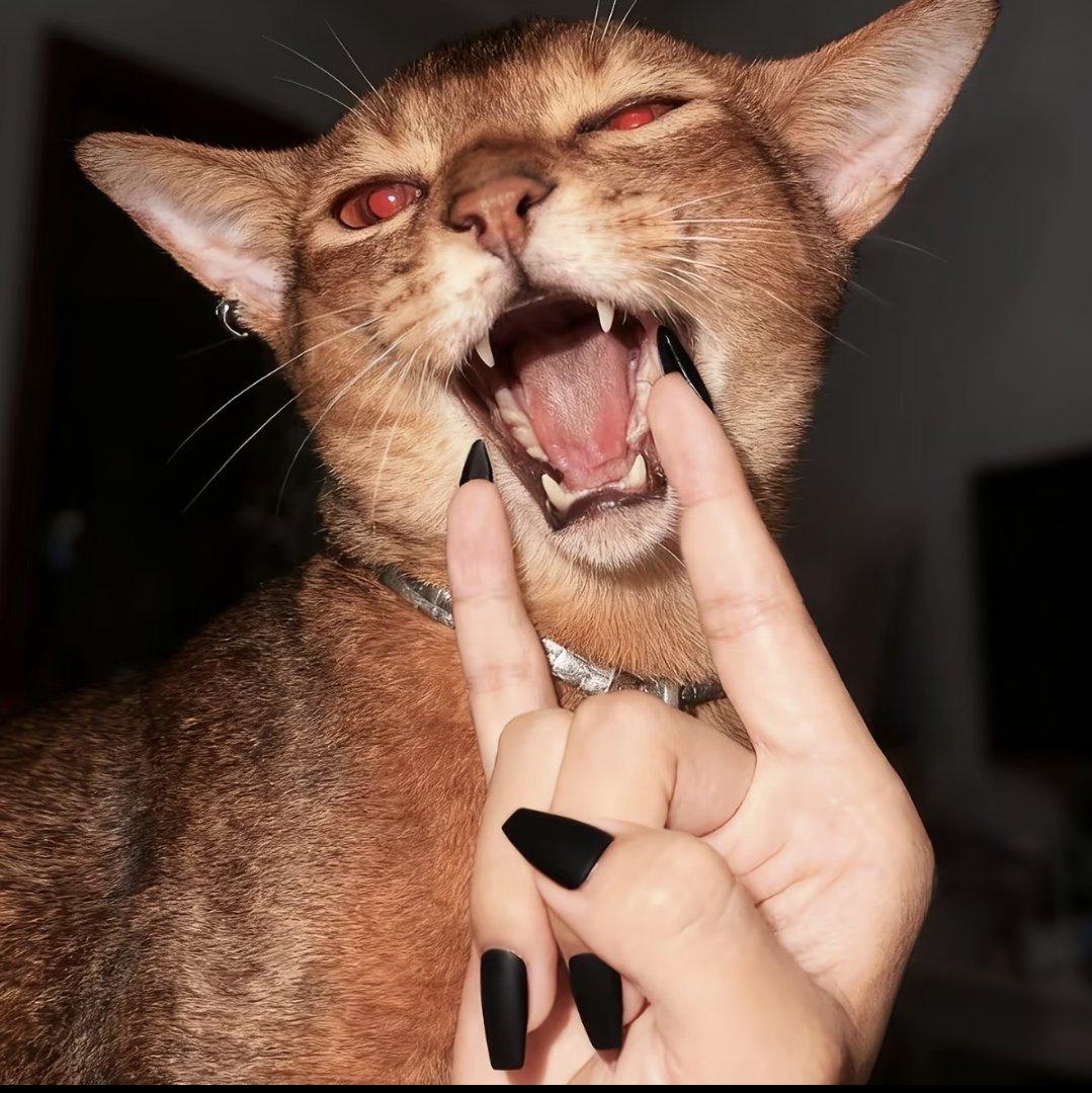 一起对世界比个中指