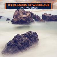 The Blissdom of Woodland - Lovely Nature Music