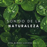 Sonido De La Naturaleza: Otra Mañana Lluviosa Vol. 1