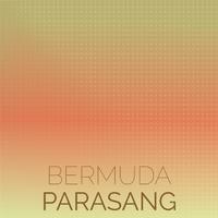 Bermuda Parasang