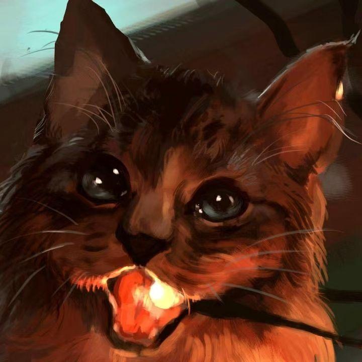 一半一半（Cover：Top Barry）