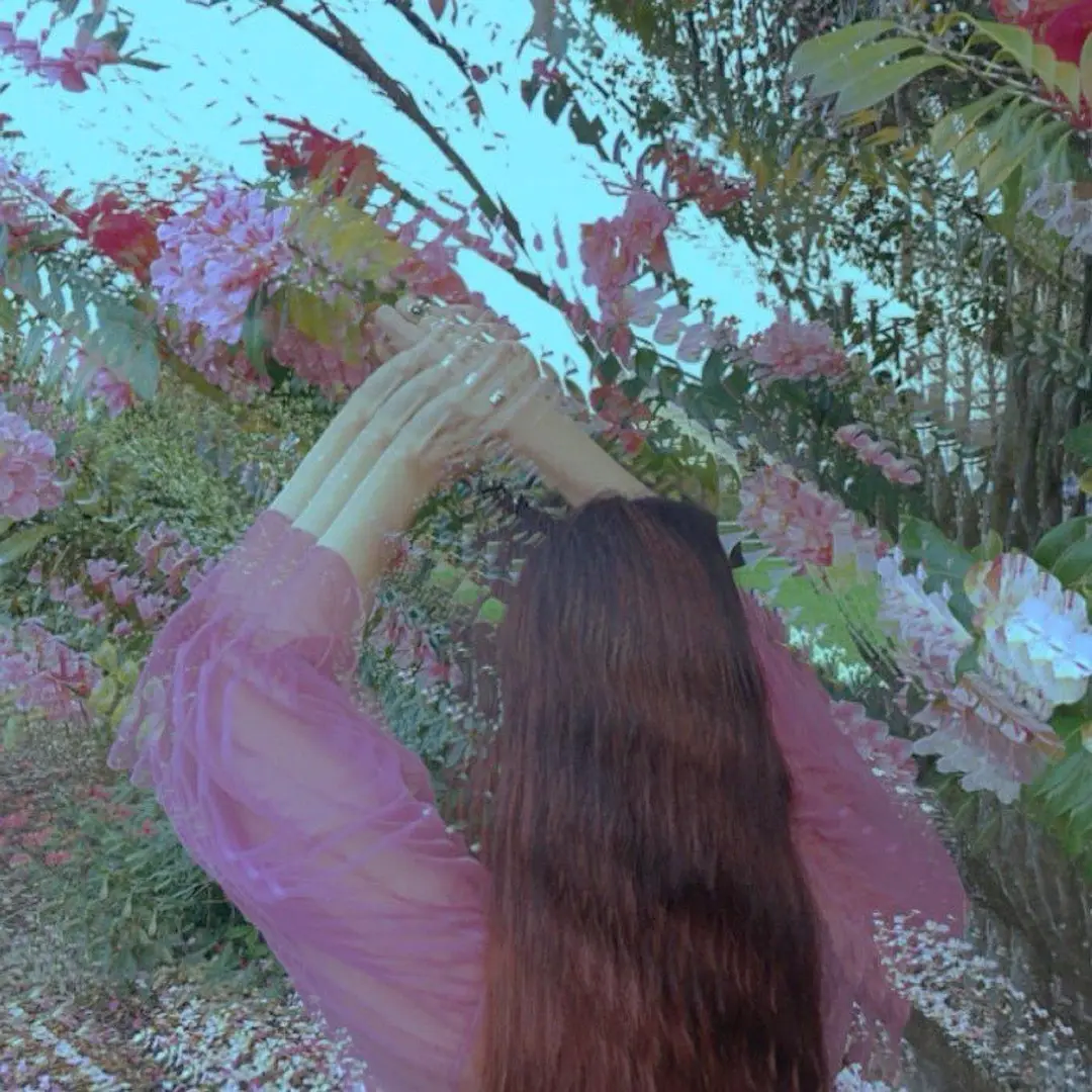 飞女正传封面