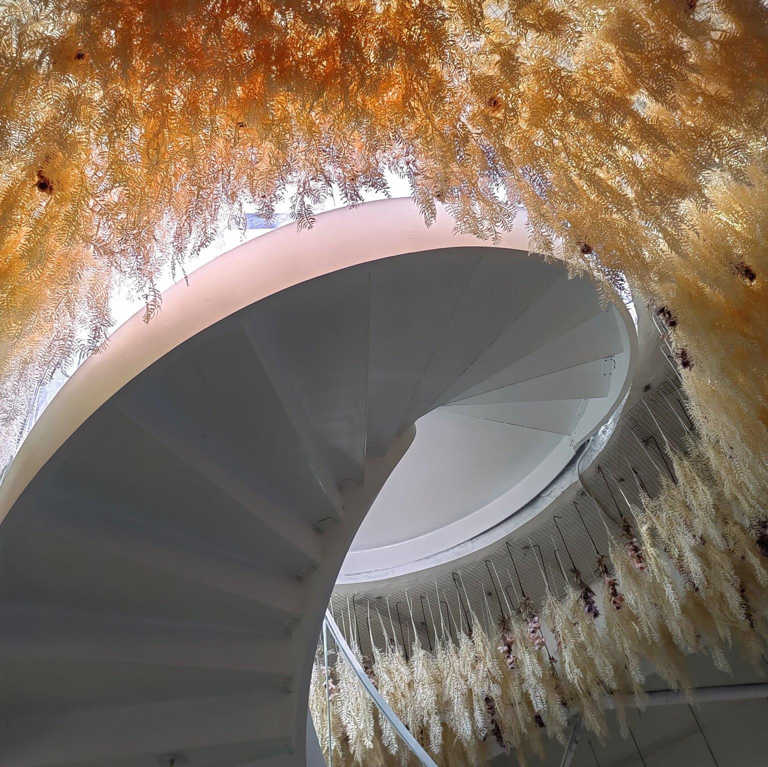 枣庄怎么还不下雪啊