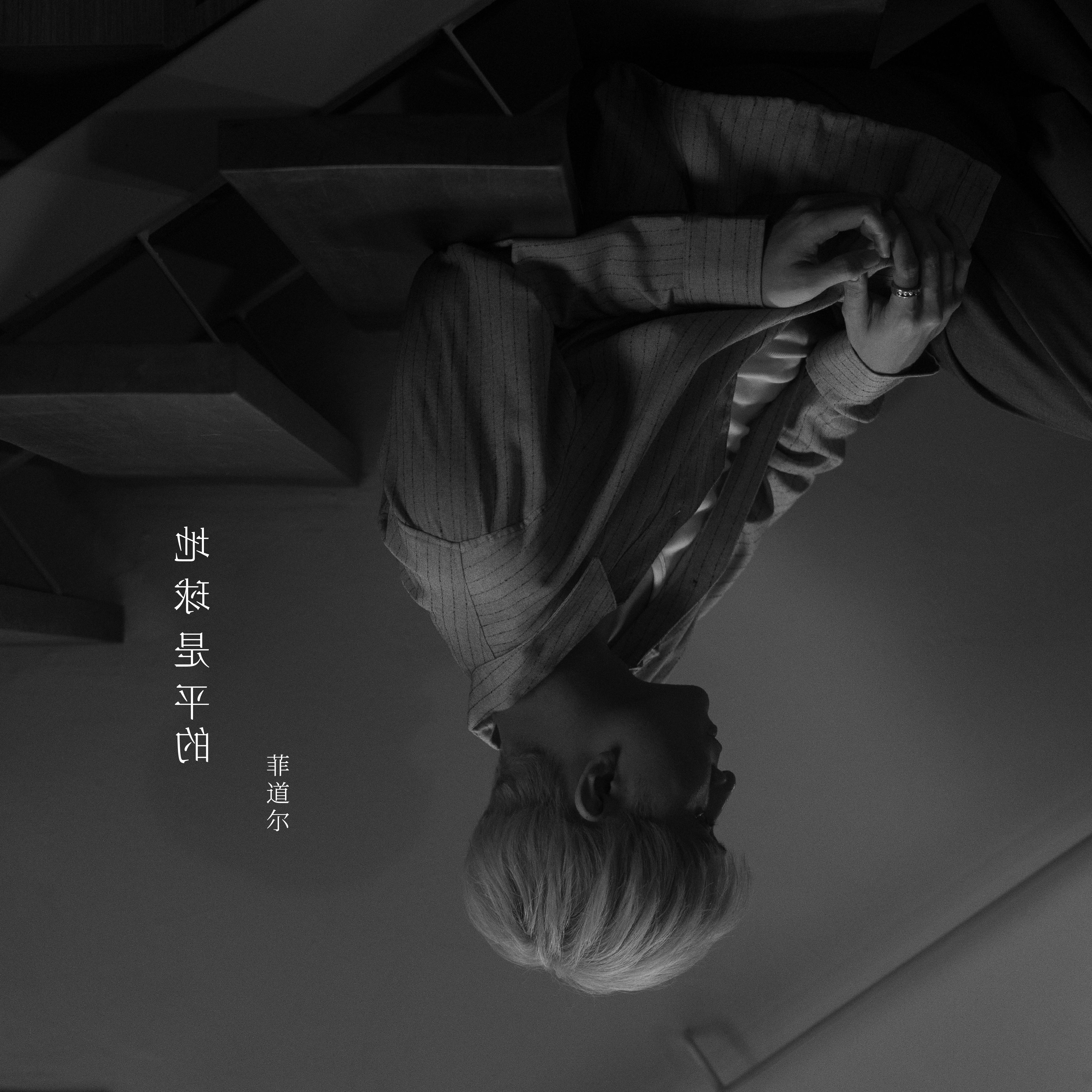 地球是平的封面