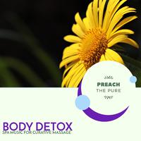 Body Detox - Spa Music For Curative Massage