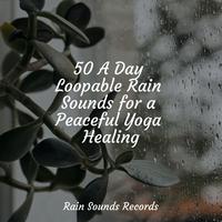 50 A Day Loopable Rain Sounds for a Peaceful Yoga Healing